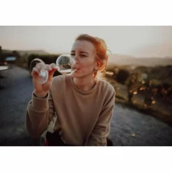 Reiseführer Mitteleuropa^REISEHANDBUCH SLOWENIEN - Reiseführer