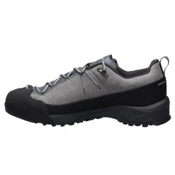 Herren Salewa Wanderschuhe Und Trekkingschuhe^WILDFIRE LEATHER 2 GTX M Herren - Zustiegsschuhe