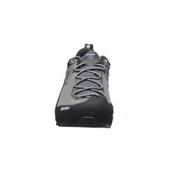 Herren Salewa Wanderschuhe Und Trekkingschuhe^WILDFIRE LEATHER 2 GTX M Herren - Zustiegsschuhe