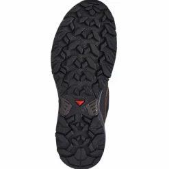 Herren Salomon Wanderschuhe Und Trekkingschuhe^X ULTRA 360 LTR GTX Herren - Wanderschuhe