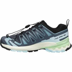 Damen Salomon Wanderschuhe Und Trekkingschuhe^XA PRO 3D V9 W Damen - Wanderschuhe