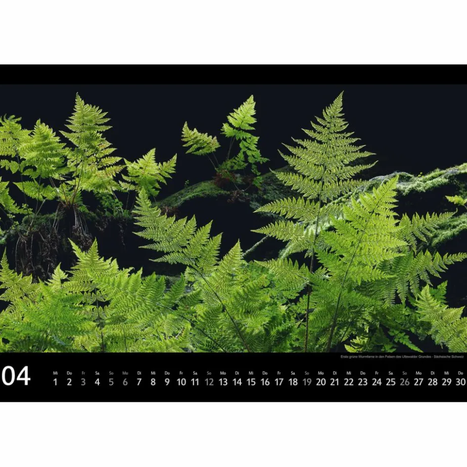 Kalender^SÄCHSISCHE SCHWEIZ 2026 - Kalender