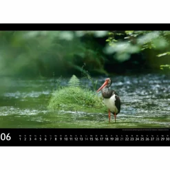 Kalender^SÄCHSISCHE SCHWEIZ 2026 - Kalender