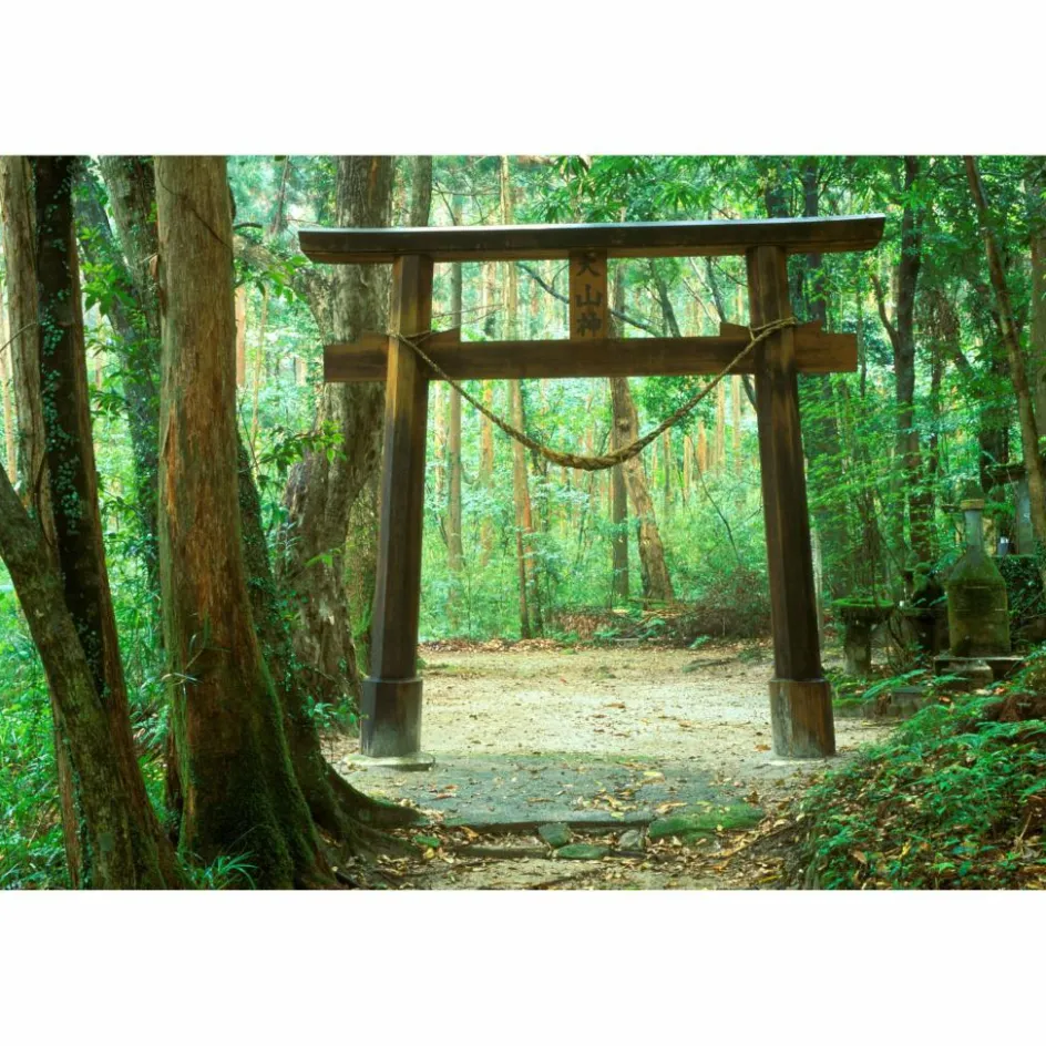 Bildbände^SECRET PLACES JAPAN - Bildband