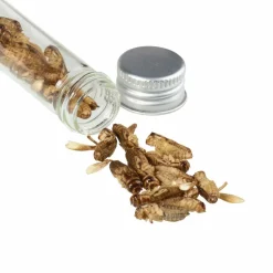 Hot GRILLON Verpflegung