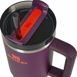 Stanley Thermoflaschen Und Becher|Campingtöpfe Und Campinggeschirr^THE QUENCHER H2.O FLOWSTATE TUMBLER Unisex - Thermobecher