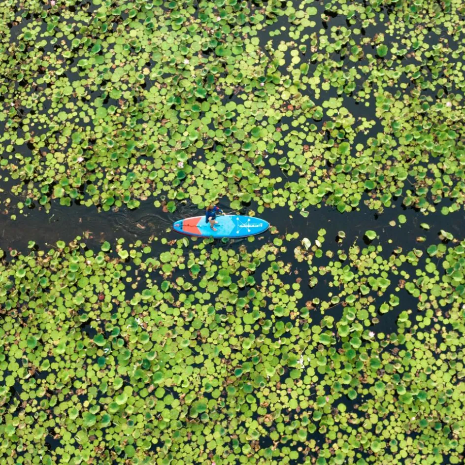 Starboard Sup Boards^IGO WITH PADDLE - SUP Board