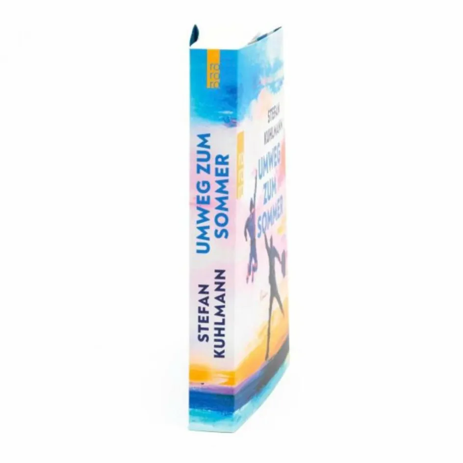 Romane^UMWEG ZUM SOMMER - Roman