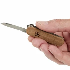Victorinox Schweizer Messer^CLASSIC SD WOOD BLISTER - Schweizer Taschenmesser