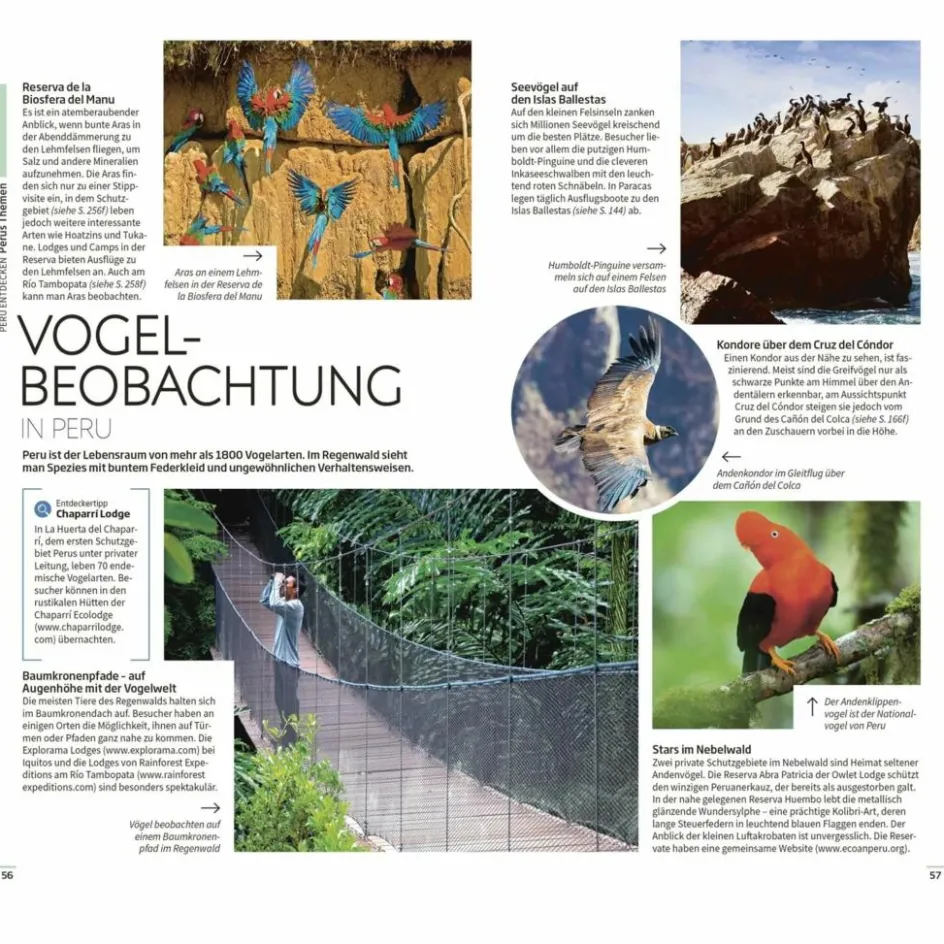 Reiseführer Südamerika^VIS-À-VIS REISEFÜHRER PERU