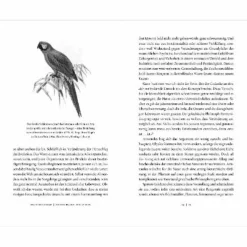 Hot VON SCHRUMPFENDEN TINTENFISCHEN UND WINDFESTEN EIDECHSEN - Sachbuch Outdoor-Sachbücher Und Naturwissen