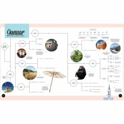 Sale WANN AM BESTEN WOHIN 2 - Bildband Bildbände