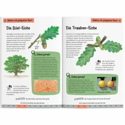 Kinder Naturratgeber Und Sachbücher|Kinderbücher Und Jugendbücher^WELCHER BAUM IST DAS? KINDERNATURFÜHRER - Kinderbuch