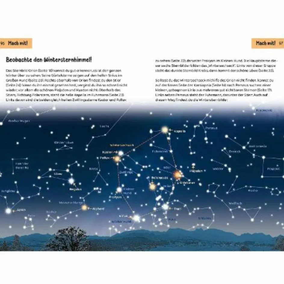 Kinder Naturratgeber Und Sachbücher|Kinderbücher Und Jugendbücher^WELCHER STERN IST DAS? KINDERNATURFÜHRER - Kinderbuch