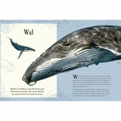 Kinder Naturratgeber Und Sachbücher|Kinderbücher Und Jugendbücher^WUNDERVOLLE WELT DER TIERE - Kinderbuch