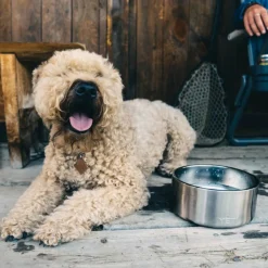Yeti Coolers Hundezubehör^BOOMER DOG BOWL - Hundezubehör