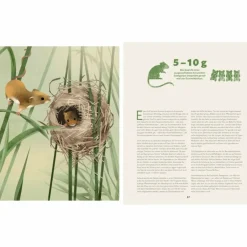 Kinder Naturratgeber Und Sachbücher|Kinderbücher Und Jugendbücher^ZU HAUSE BEI DEN WILDEN TIEREN - Kinderbuch